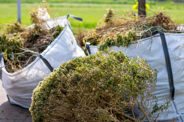 Best Demolition Debris Removal  in Jacksonville, AR